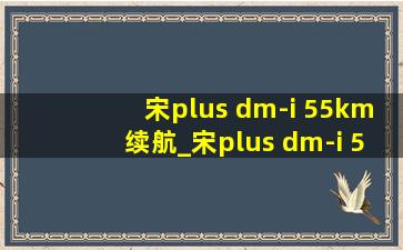 宋plus dm-i 55km续航_宋plus dm-i 55km续航实测